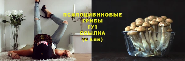 МДМА Пестово