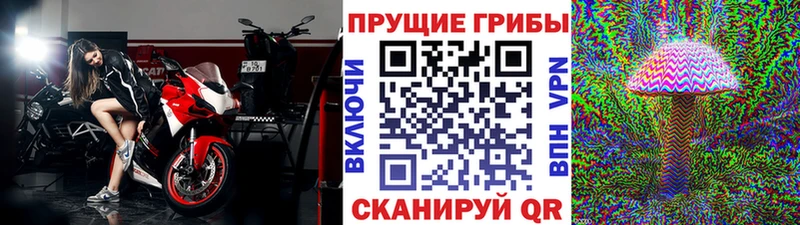 дарк нет клад Старый Крым Псилоцибиновые грибы мухоморы